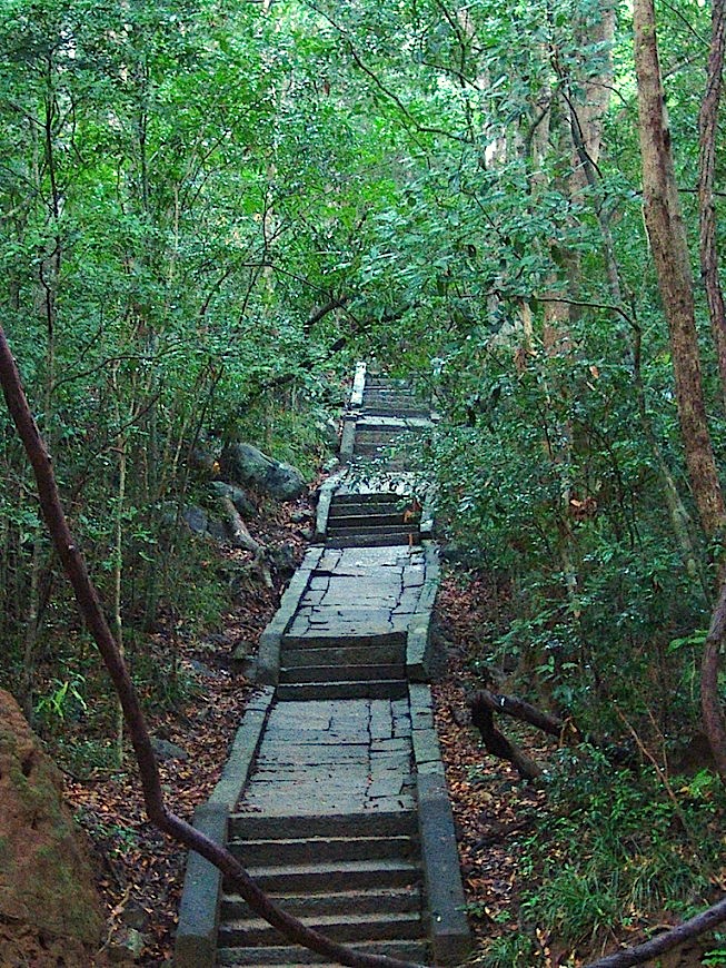 ritigala mountain